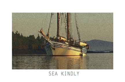 Sea Kindly